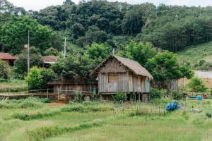 The Rise Of Sustainable Eco Villages In Rural Areas