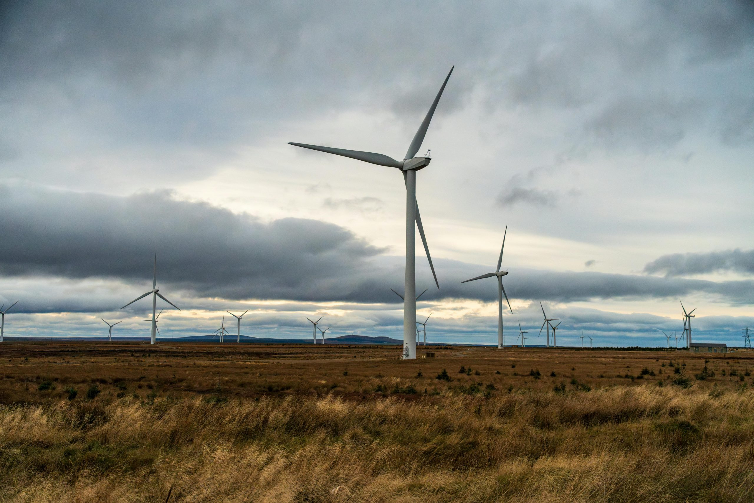 The Best Ways To Invest In Clean Energy Technology