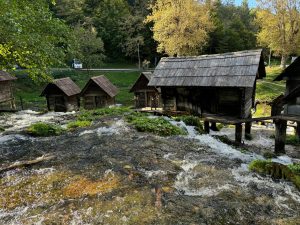 How To Build A Passive Income Stream Through Dividends