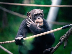 The Importance of Ethical Behavior