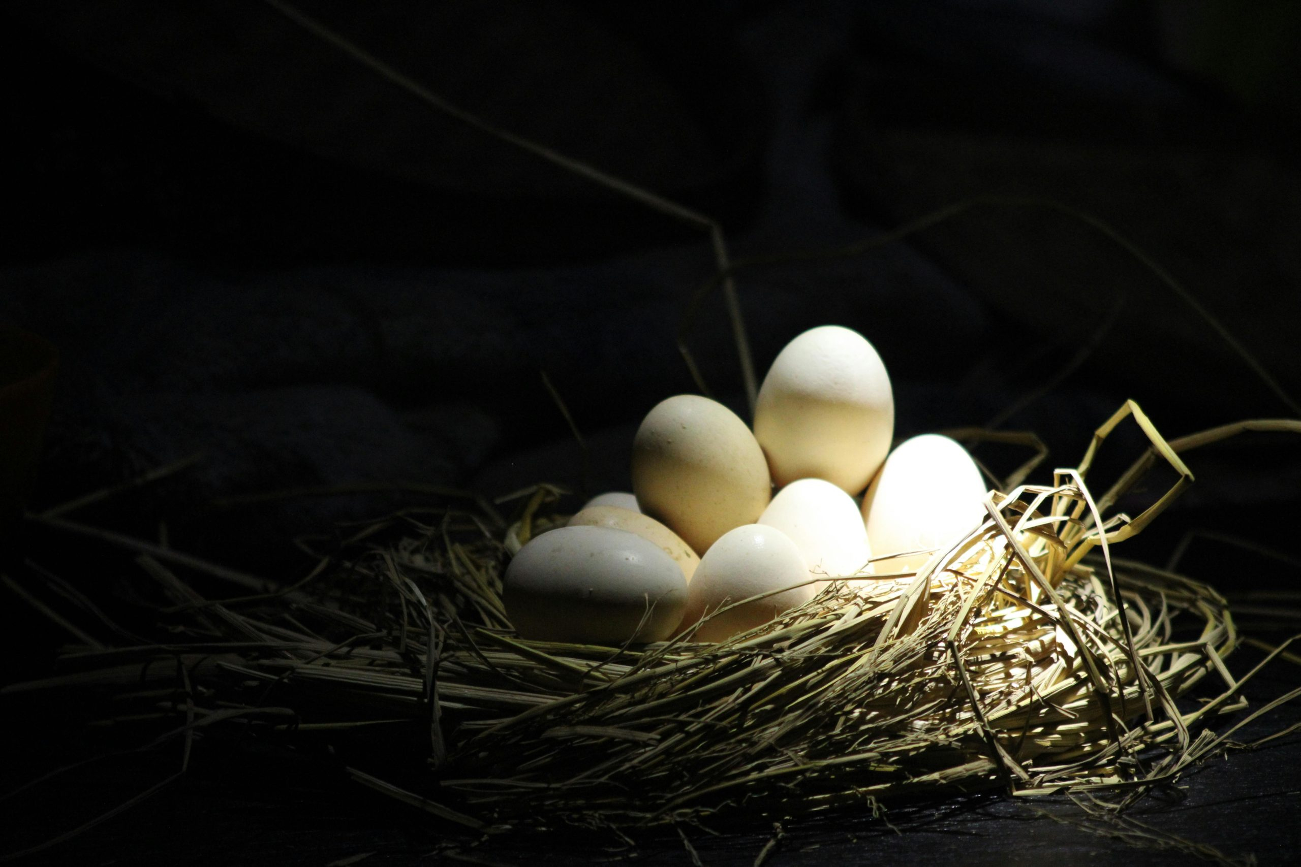 Simple Ways to Make Law Accessible