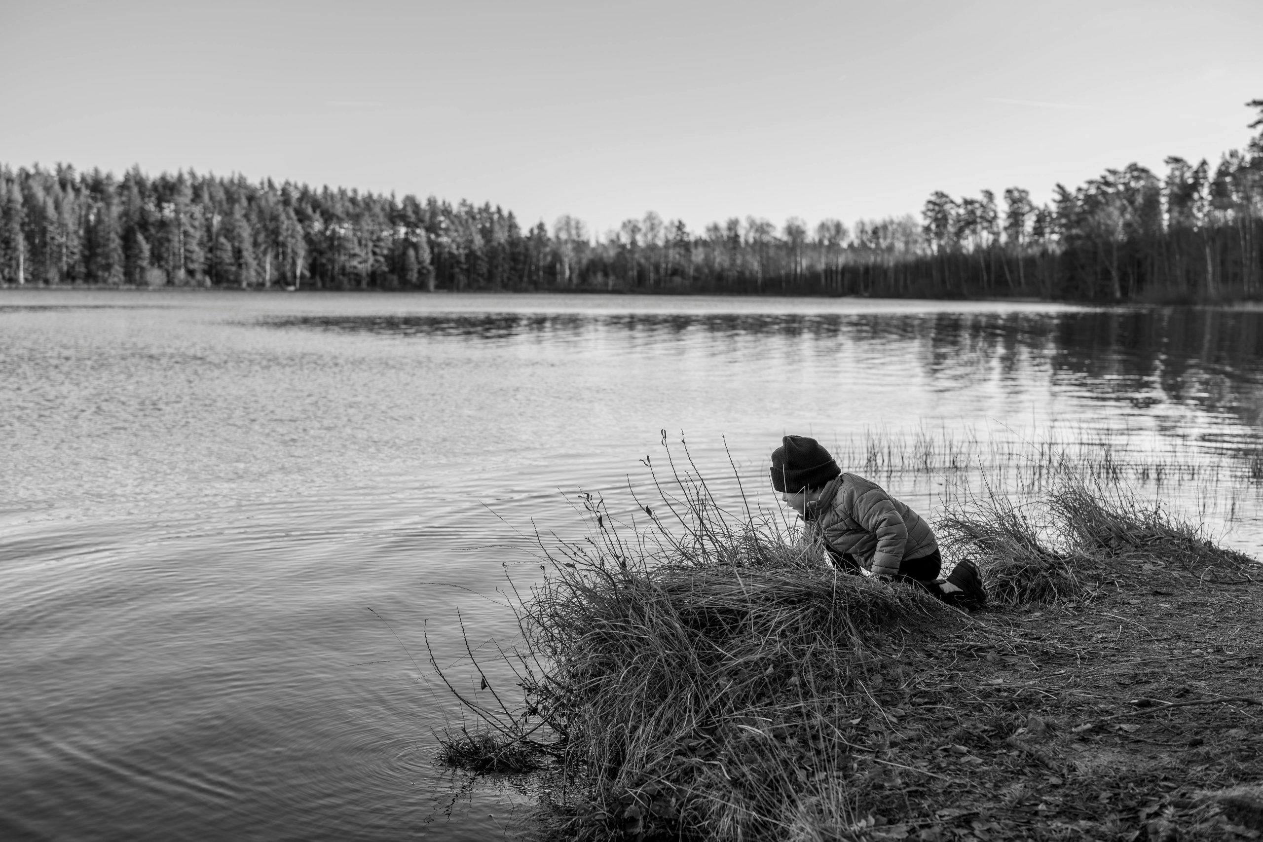 Exploring the Best Legal Tools